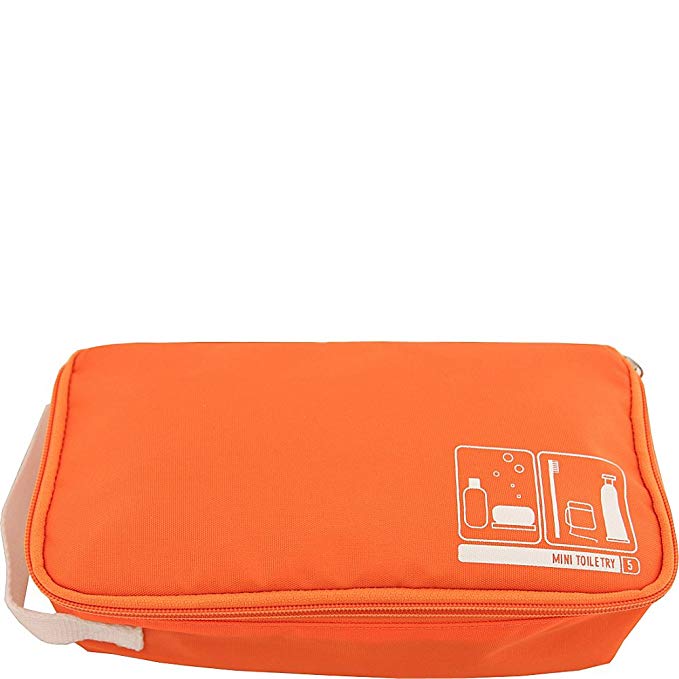 Flight 001 Men's F1 Spacepak Mini Toiletry Bag